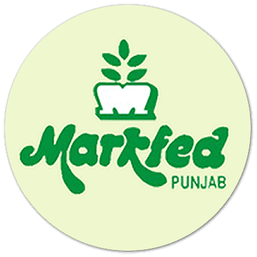 Markfed Punjab Recruitment 2021