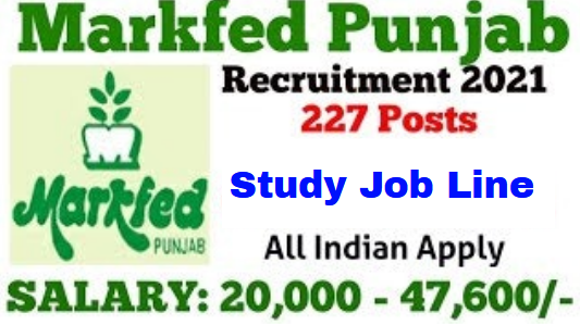 Markfed Punjab Recruitment 2021
