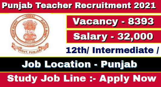 Punjab Teacher Recruitment 2021 Apply 8393 Post