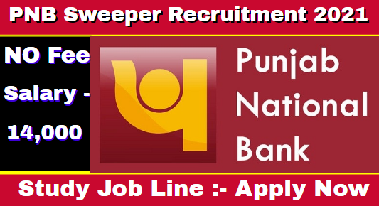 PNB Sweeper Recruitment 2021 Apply 35 Post