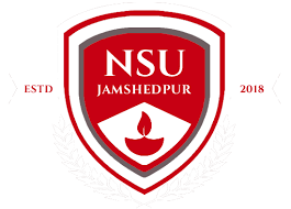 NSUT (Neta Ji Subhash University) Various Post Recruitment 2021