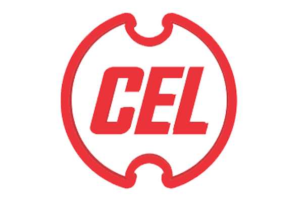 CEL Recruitment 2021 Apply 19 Senior Manager, Deputy Engineer Posts