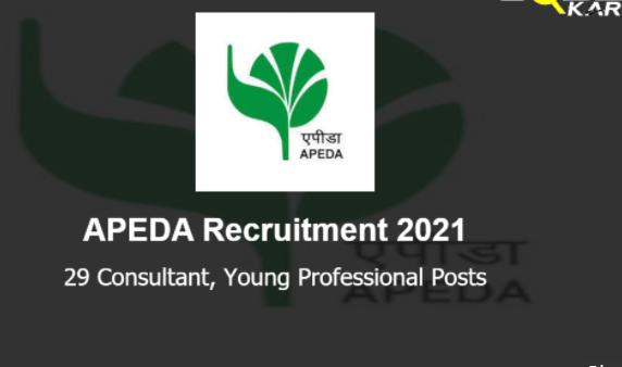 APEDA Recruitment 2021 Apply 29 Young Professional and Consultant Posts