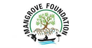 Mangrove Foundation Recruitment 2021